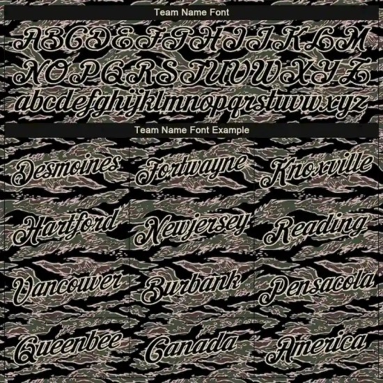 Custom Camo Black-Cream Performance Salute To Service T-Shirt