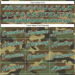 Custom Camo Kelly Green-Red Performance Salute To Service T-Shirt